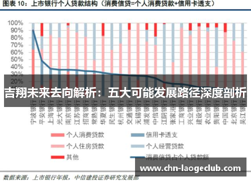 吉翔未来去向解析：五大可能发展路径深度剖析