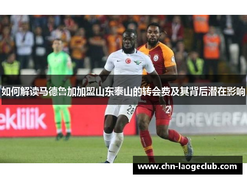 如何解读马德鲁加加盟山东泰山的转会费及其背后潜在影响