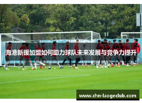 海港新援加盟如何助力球队未来发展与竞争力提升
