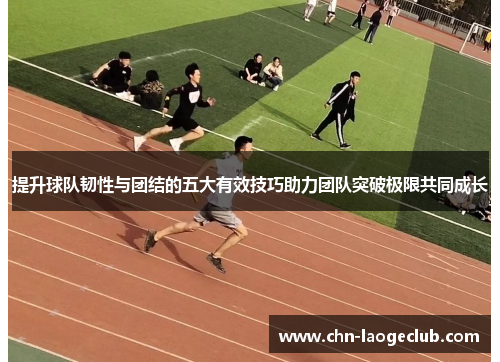 提升球队韧性与团结的五大有效技巧助力团队突破极限共同成长