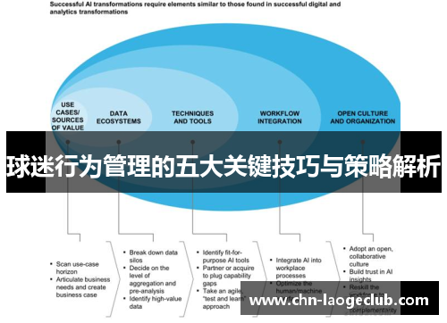 球迷行为管理的五大关键技巧与策略解析
