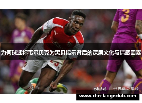 为何球迷称韦尔贝克为黑贝揭示背后的深层文化与情感因素