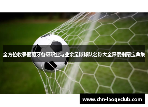 全方位收录葡萄牙各级职业与业余足球球队名称大全深度指南宝典集