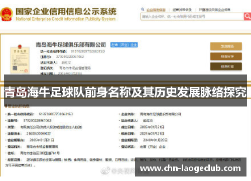青岛海牛足球队前身名称及其历史发展脉络探究